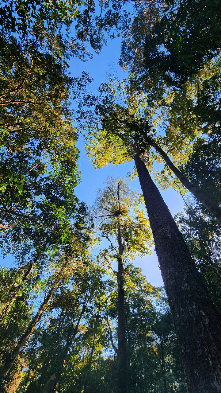 0f95025ac2cf77912ede