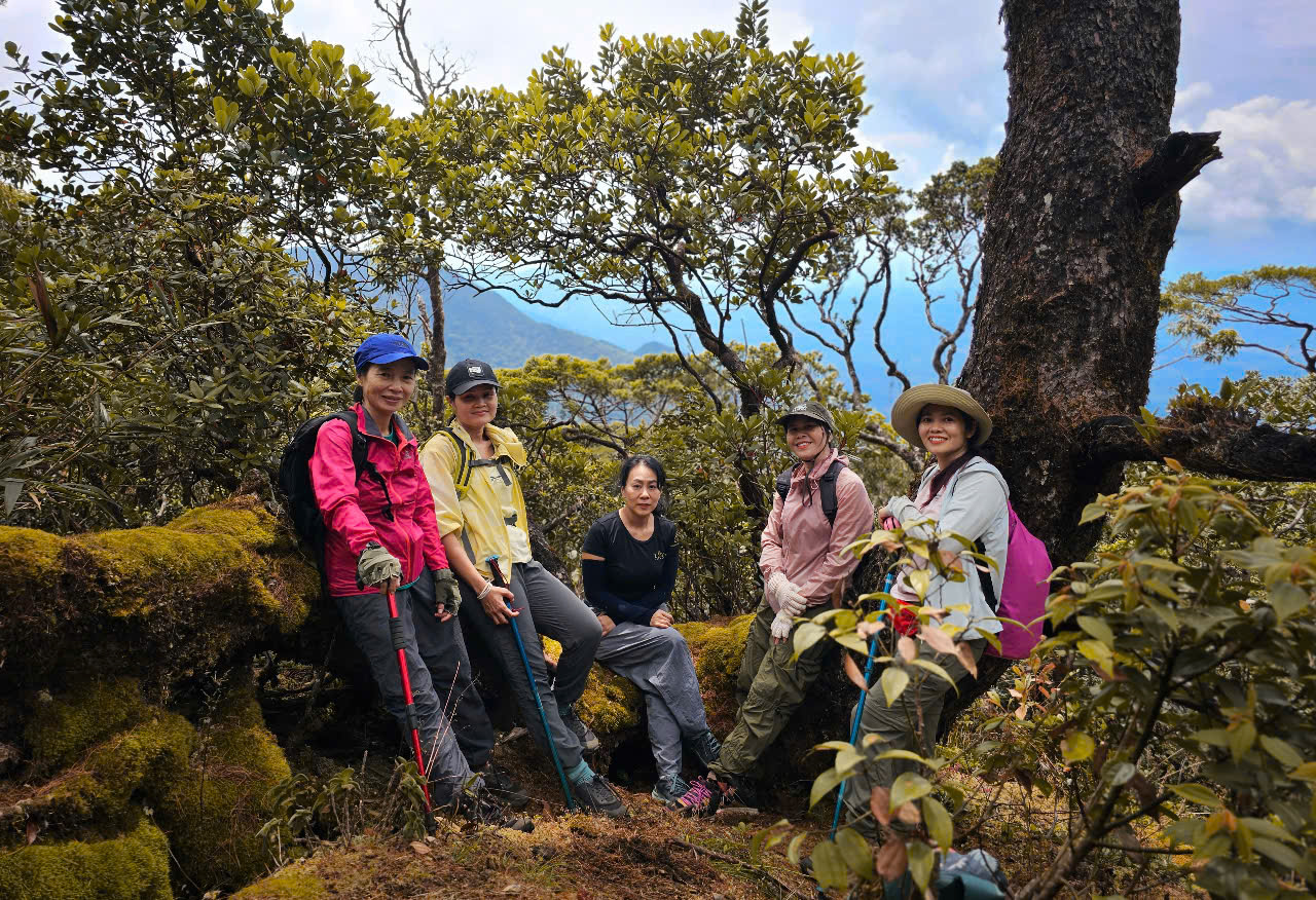 1c4d272be7be52e00baf