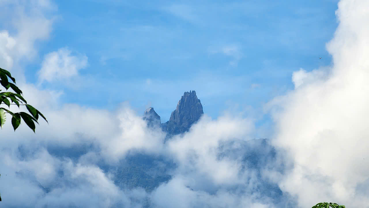 2983e4a62433916dc822