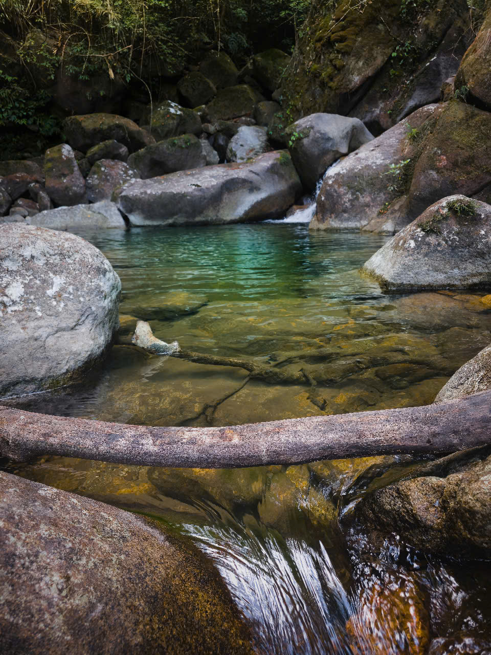 4395f23732a287fcdeb3