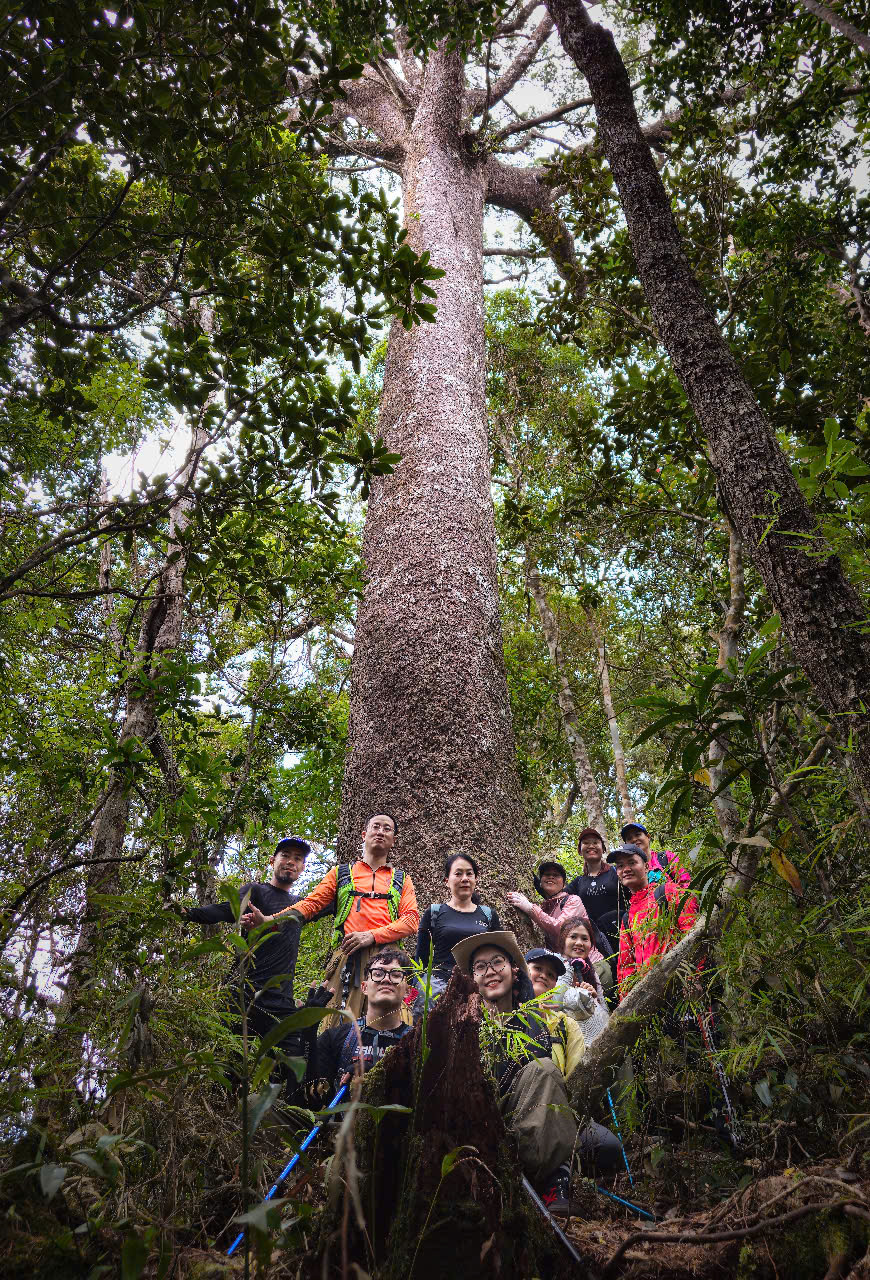 5c1c835643c3f69dafd2