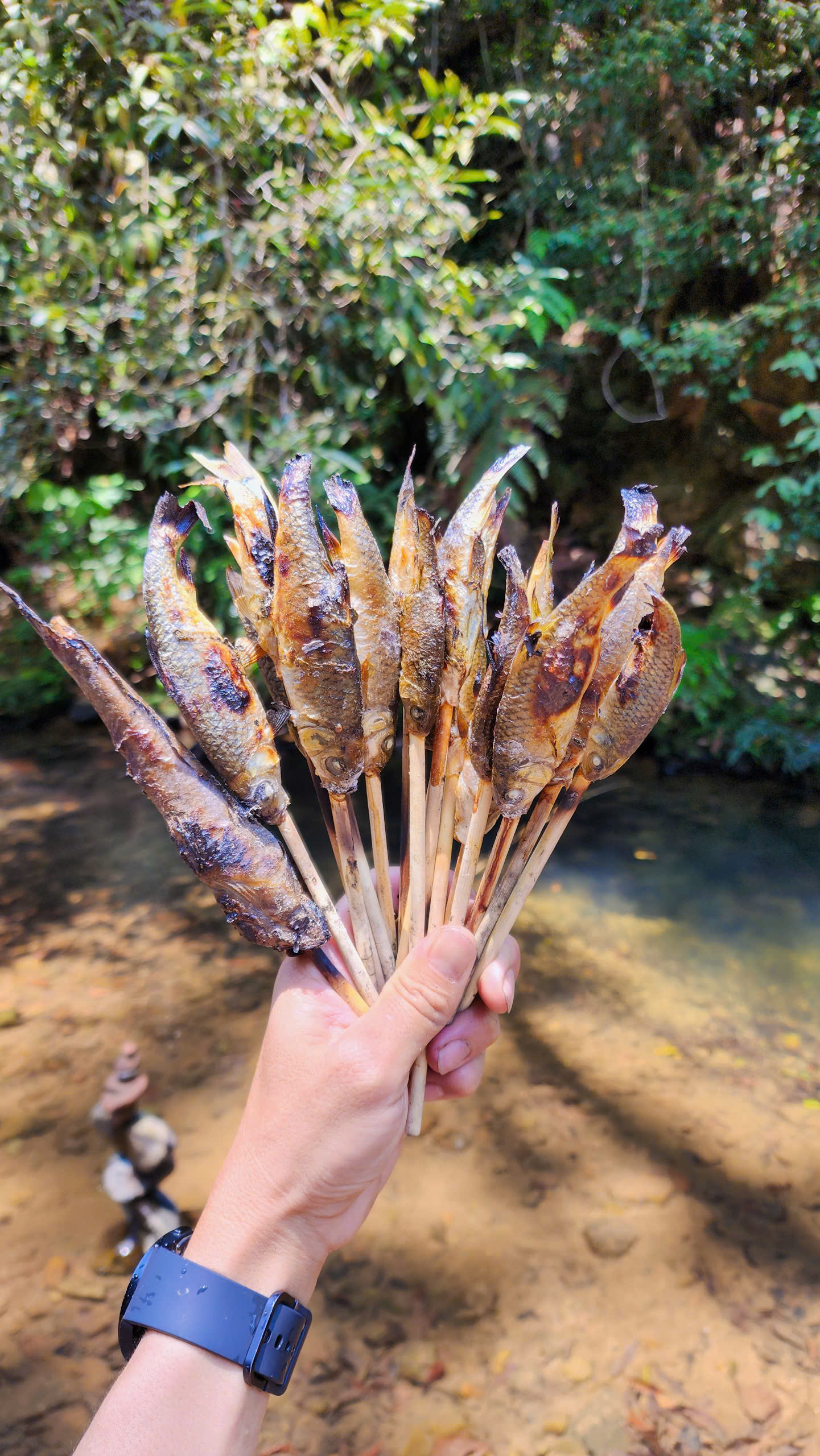 5efd614ae6ff53a10aee (1)