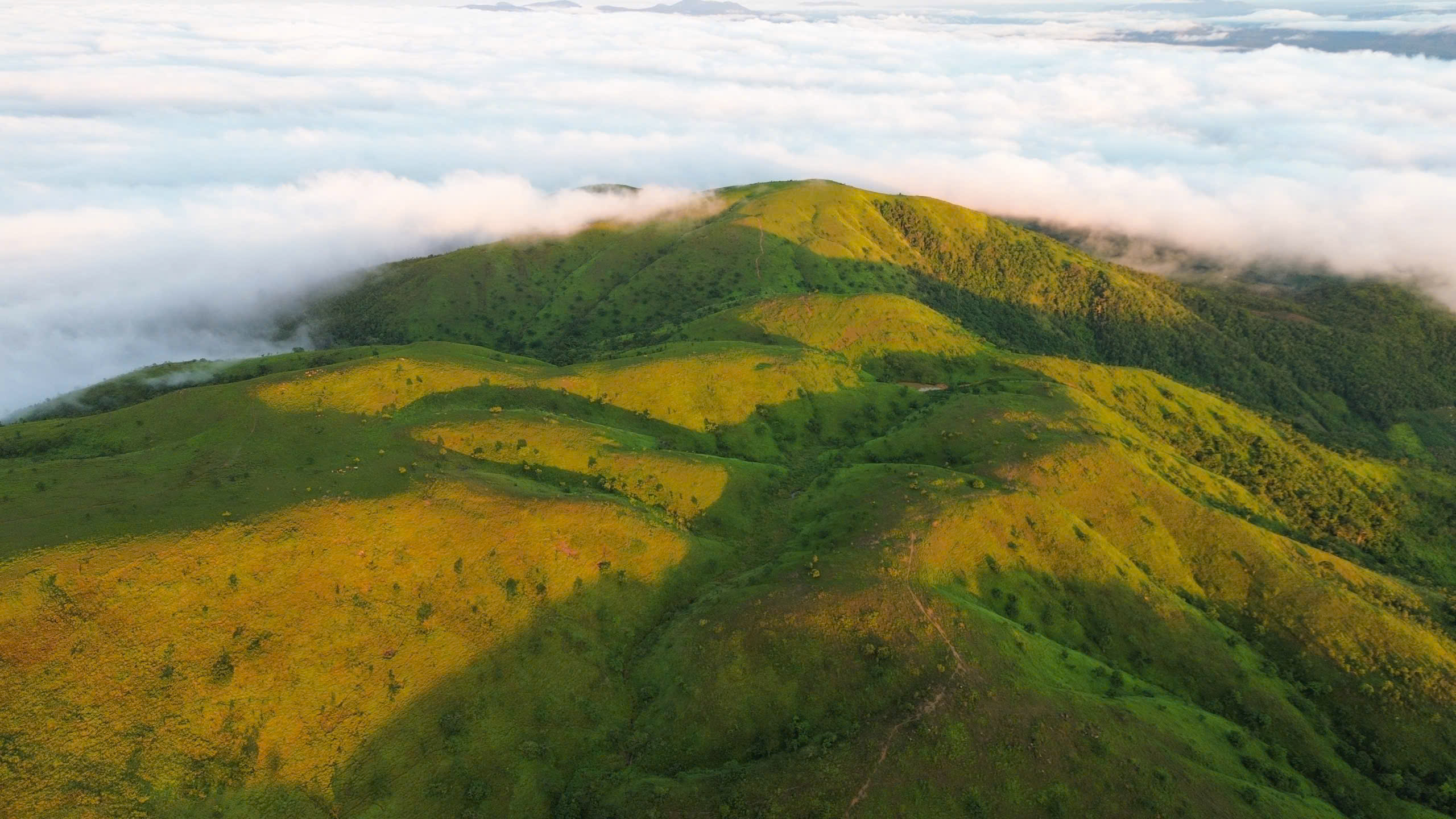 Daklak – Thảo Nguyên PalSol
