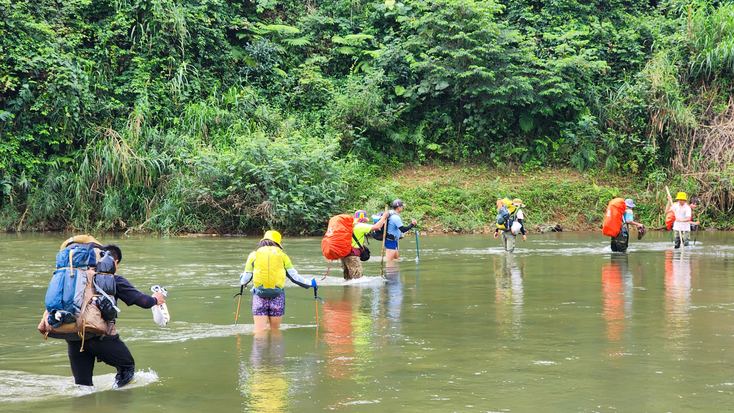 7c0599da1e6fab31f27e