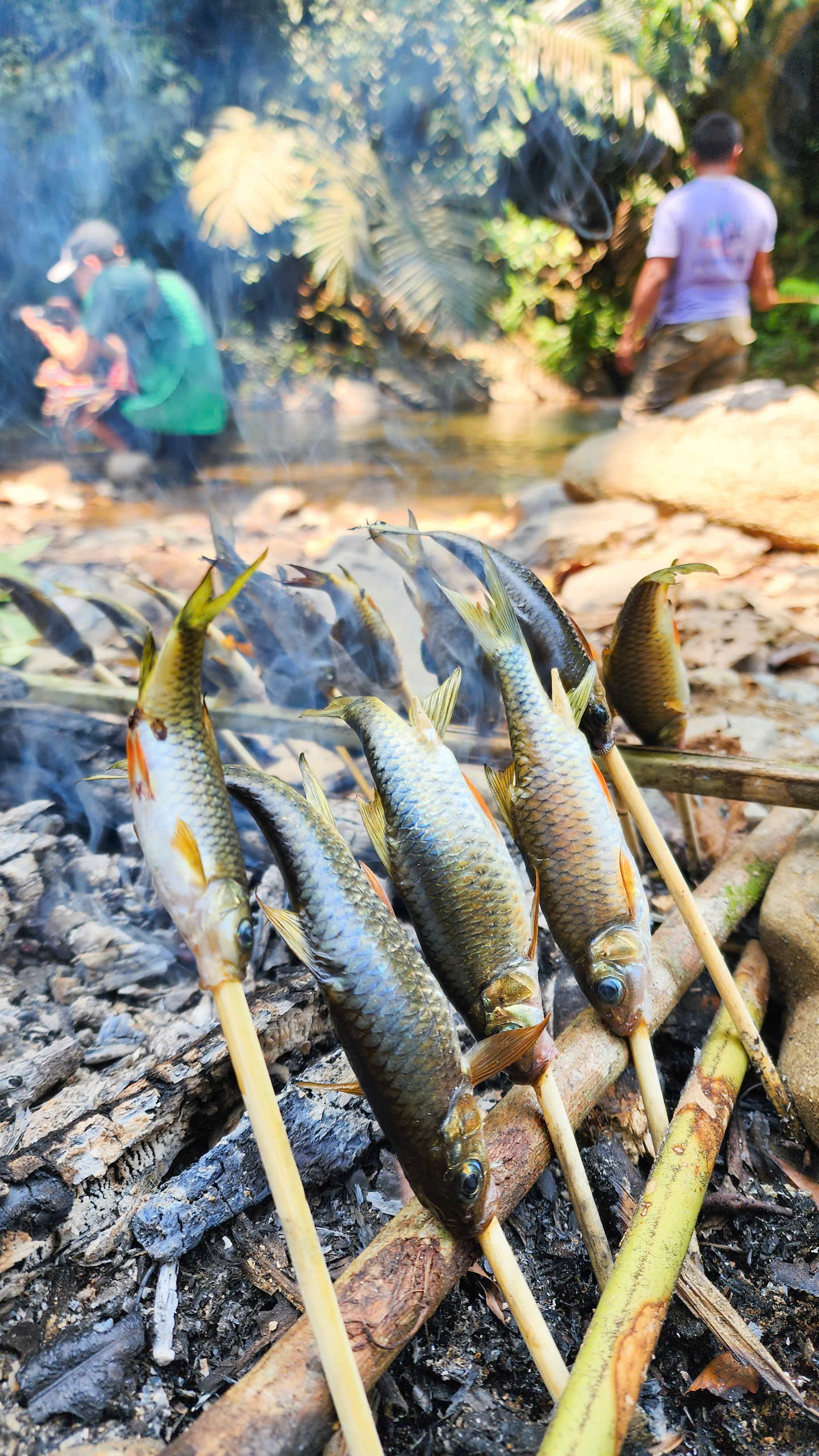 ace95043d7f662a83be7