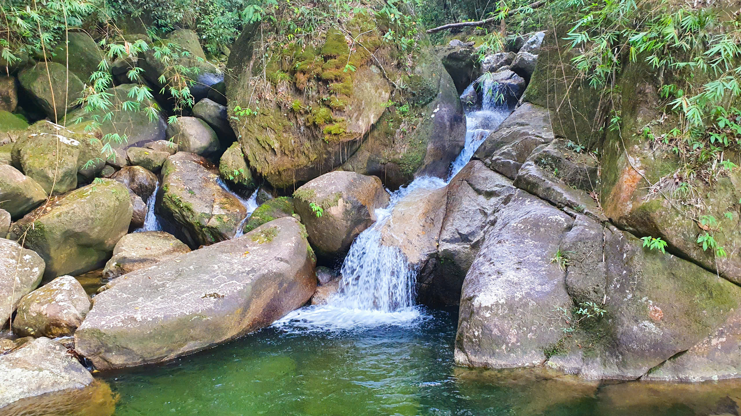 d09d7754f0e145bf1cf0