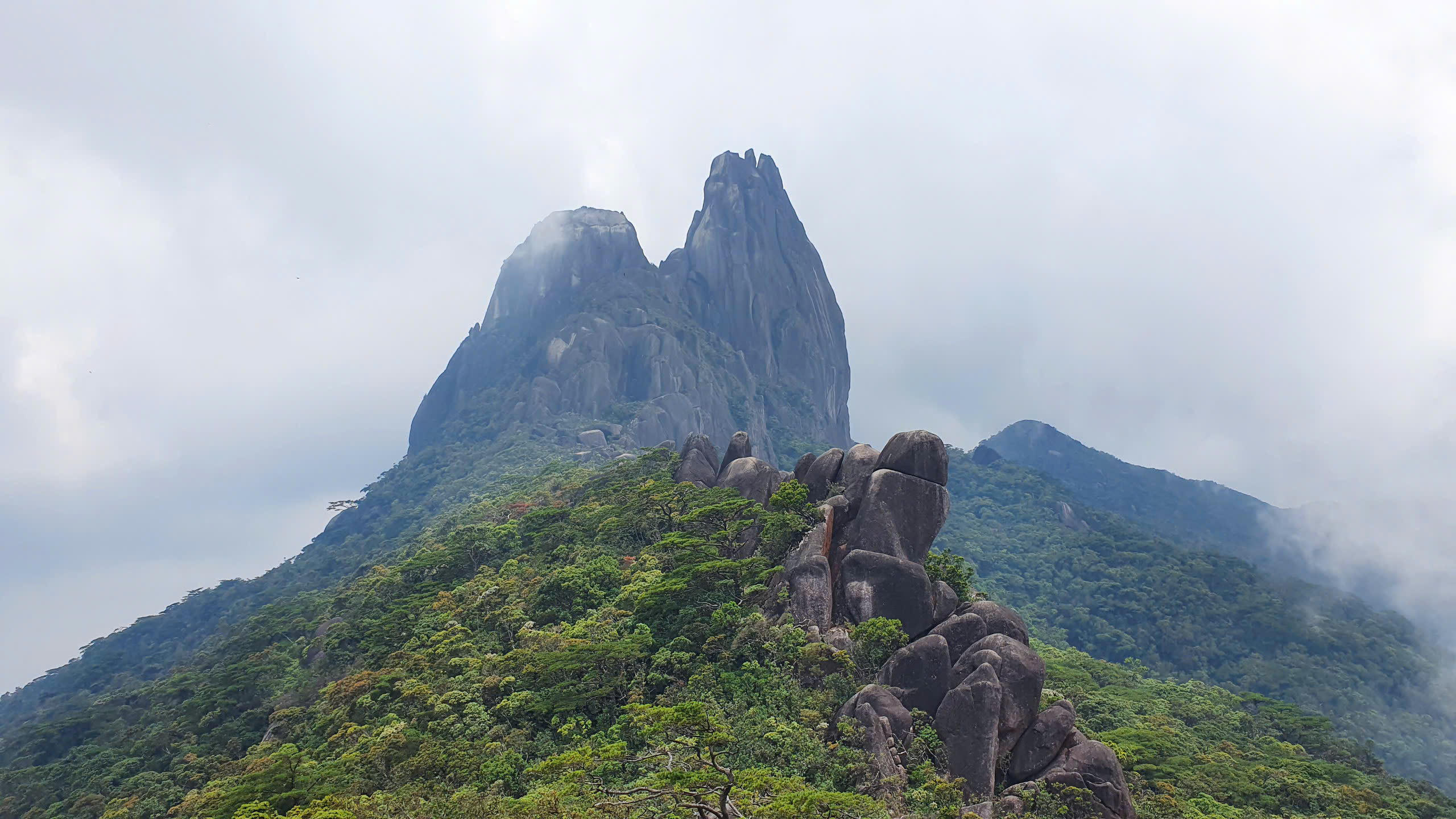 d5fef9397e8ccbd2929d