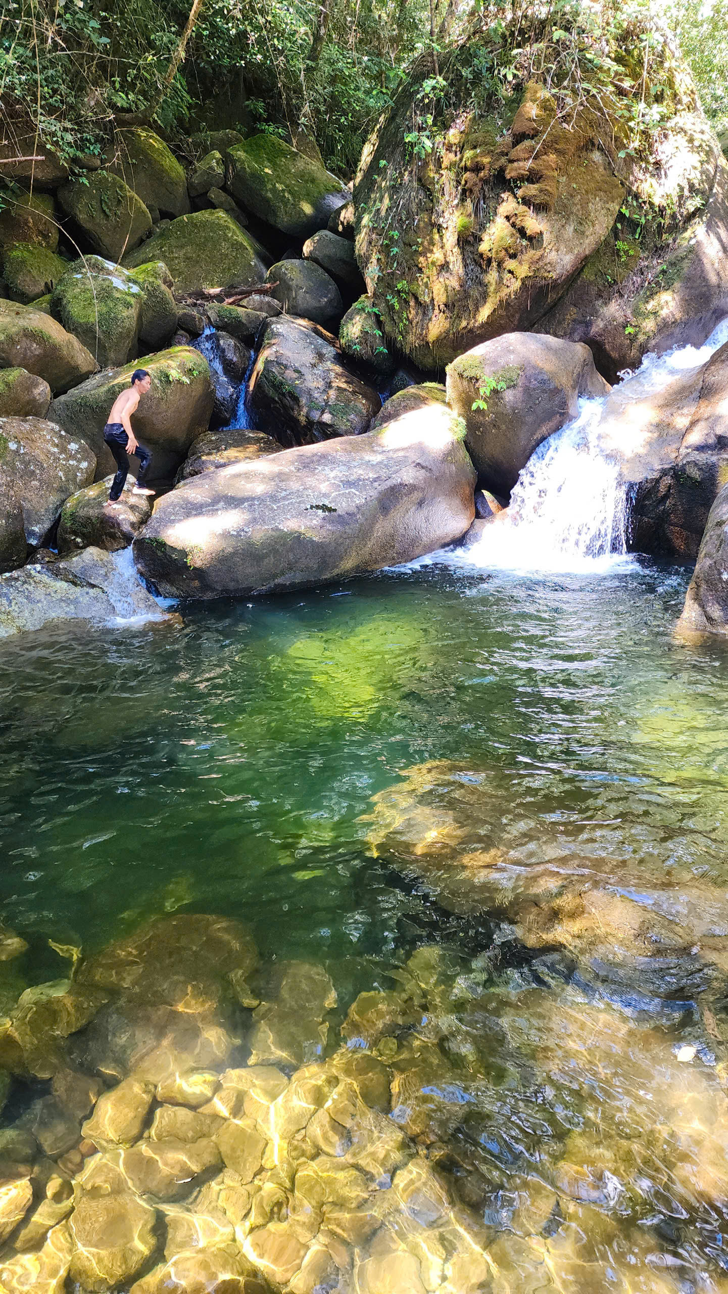 ddc16979eecc5b9202dd