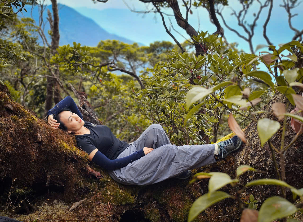 e645b12171b4c4ea9da5